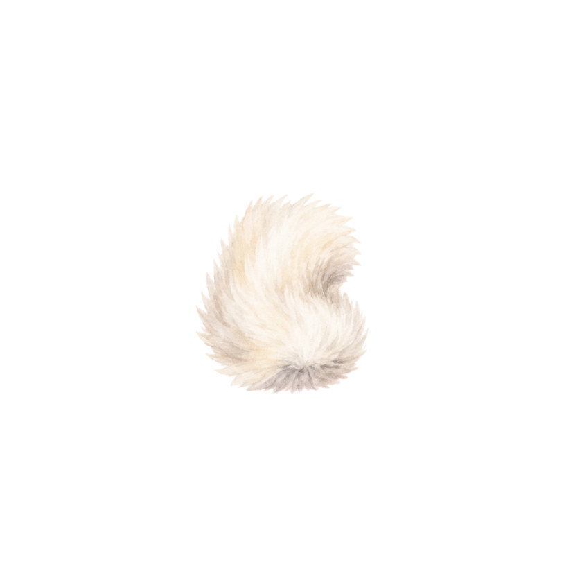カシュメラン